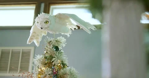 Snowy Owl Tree Topper Stock Footage 296929940