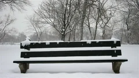 Snowy Park Bench Video stock 14841235