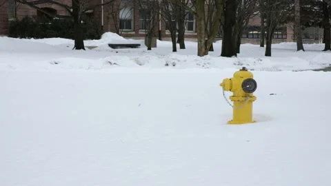 Snowy Park with Fire Hydrant 4K 動画素材 150835254