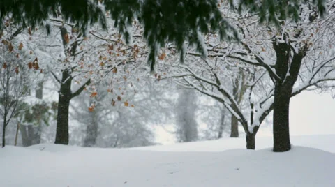 Snowy Park Video stock 35825786