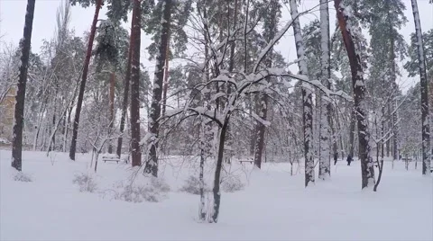 Snowy park Stock Footage 46973024