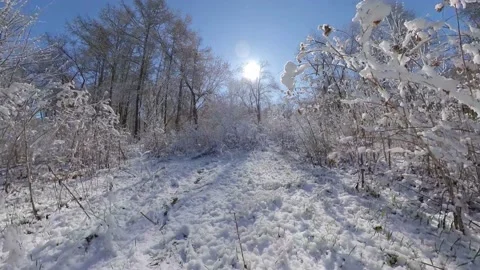 Snowy park. 動画素材 143155147