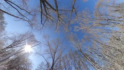 Snowy park. 스톡 동영상 143156166