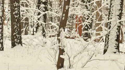 Snowy park Stock Footage 326596755