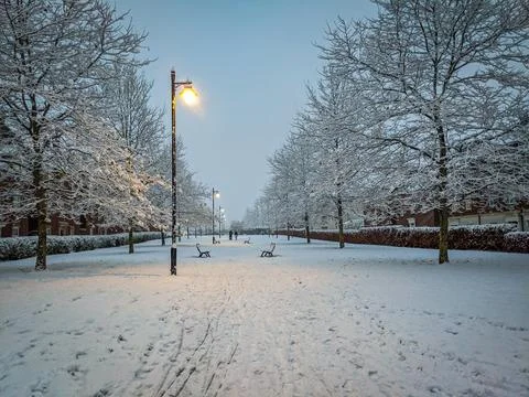 Snowy Park Path at Dusk Stock Photos