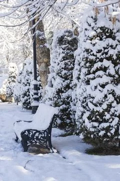 Snowy Park Path with Empty Bench in Winter Stock Photos