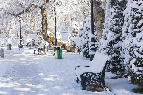 Snowy Park Path with Empty Bench in Winter Stock-Fotos