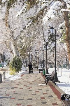 Snowy Park Path with Empty Bench in Winter Foto stock