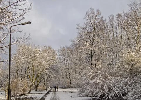 Snowy Park Stock Photos