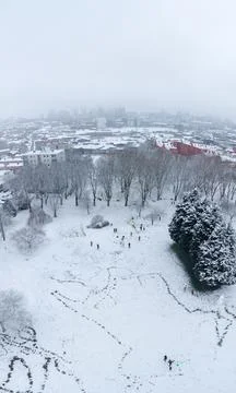 Snowy Park Stock Photos