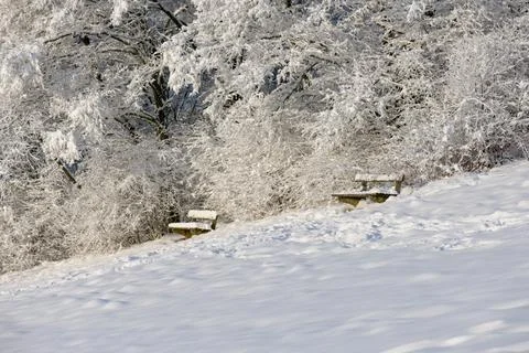 In the Snowy Park Stock Photos
