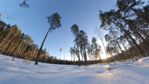 Snowy park. Time lapse. Stock Footage 143155751