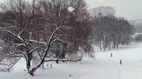 A snowy park with a tree covered in snow Stock-Footage 329664377