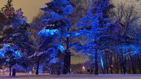 A snowy park with trees lit up multicolor Video stock 325372884