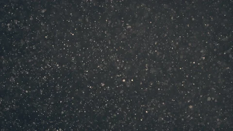 The snowy particles flying on the dark background. slow motion Video stock 160064211