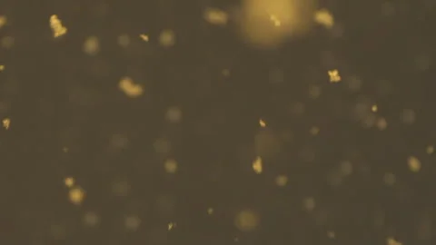 The Snowy Particles Flying On The Dark Background. Slow Motion Video Stock Footage 266800734
