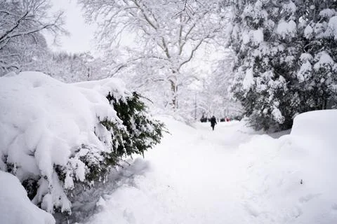 Snowy path in Central Park after heavy snowfall Stock Photos