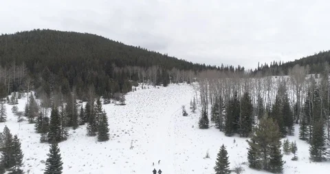 Snowy path in Colorado Stock Footage 88610792