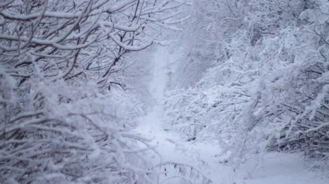 Snowy Path Stock Footage 44560375