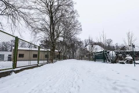 Snowy path going between properties fenced off with mesh fences Foto stock