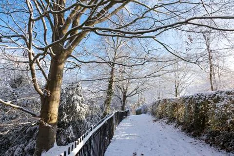 Snowy path in a park Stock Photos