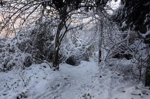 Snowy Path in the Park Stock Photos