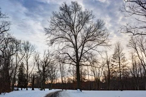 Snowy path in park Stock Photos