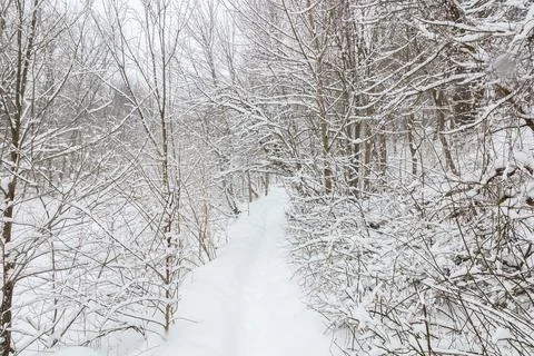 Snowy Path in park Stock Photos