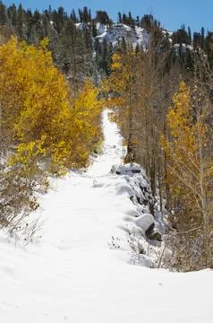 Snowy path Stock Photos