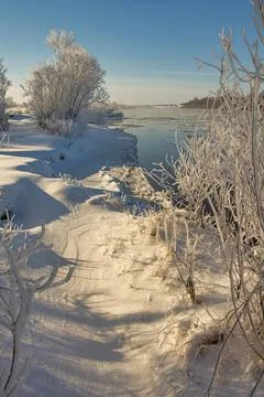 Snowy path by river with trees and clear blue sky Stock Photos