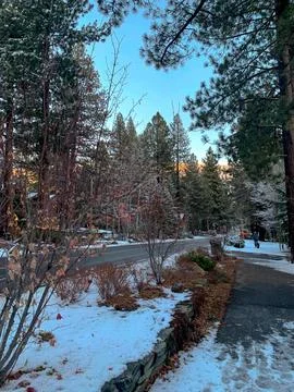 Snowy Path through Trees Stock Photos