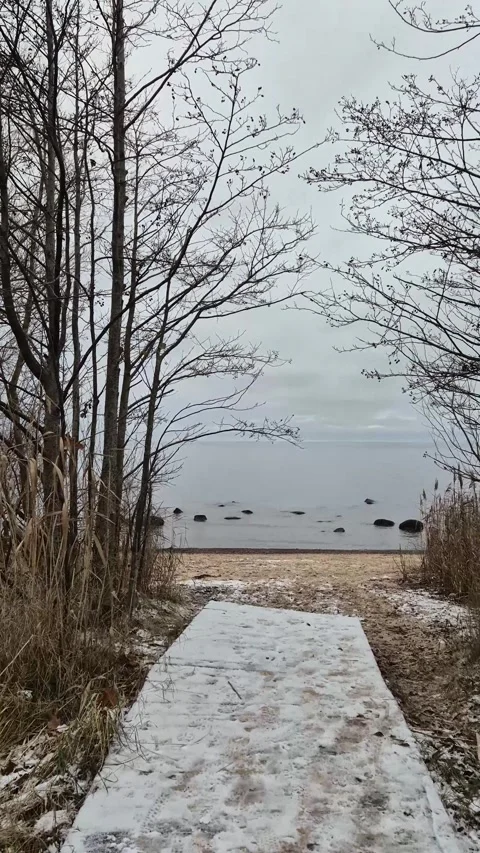 Snowy Path Through Trees To Sea Stock Footage 322051920