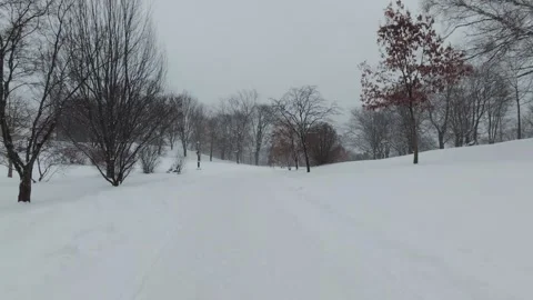 Snowy Path Through Urban Winter Park Stock Footage 323422928