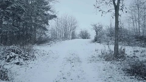 Snowy Path Walk 2 4K Stock Footage 84602881