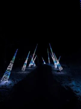 Snowy path walking in the dark outlined with holiday lights. Stock Photos
