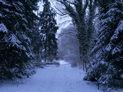 Snowy path in winter Stock Footage 342543665
