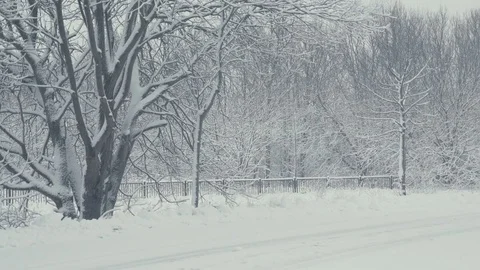 Snowy path. Winter landscape, falling snow, covered with fresh powder Stock Footage 84292174