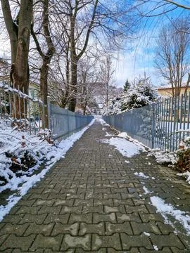 Snowy Pathway Between Trees for Walking Stock Photos