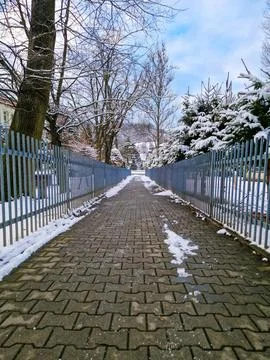 Snowy Pathway Between Trees for Walking Stock Photos