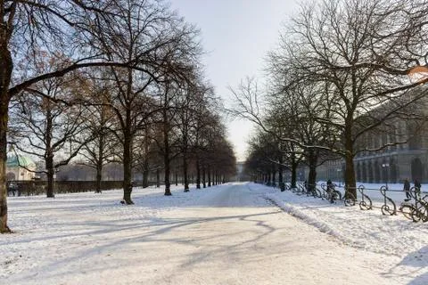 Snowy Pathway in Munich Stock Photos