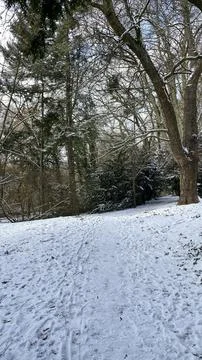 Snowy Pathway Through the Forest Stock Photos