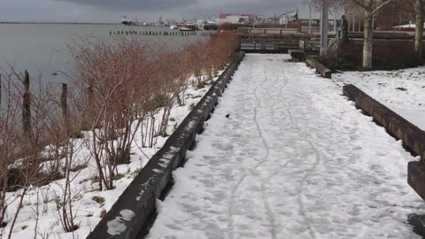 Snowy Pathway by the Water with Bare Trees and Cloudy Sky Stock Footage 271198145