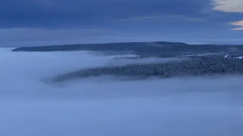 Snowy Peaks and Pine Forest | Cinematic Drone Over Alpine Wilderness Stock Footage 307166202