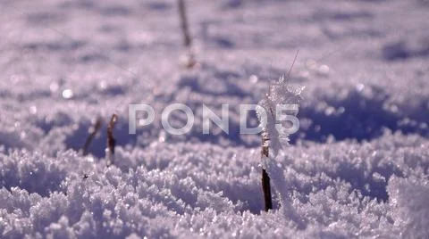 Snowy Stock Photos