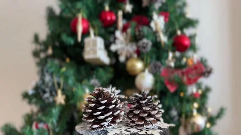 Snowy pine cones rotating with blurred tree Stock Footage 341611405