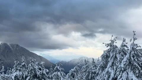 Snowy Pine Forest and Mountain Peaks Timelapse Stock Footage 332686673