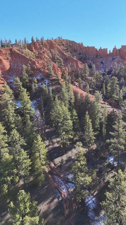 Snowy Pine Forest and Red Rock Ridge Aerial, Vertical Stock Footage 327545714