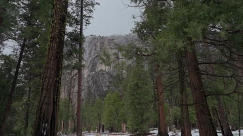 Snowy pine forest below cloud covered granite cliff in Yosemite Valley Stock-Footage 347988693