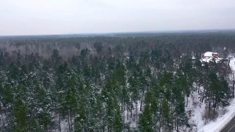 Snowy pine forest Stock Footage 207488616