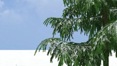 Snowy Pine Tree Branches in Winter Landscape Stock-Footage 330919183